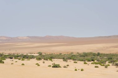 Dağların güzel manzarası