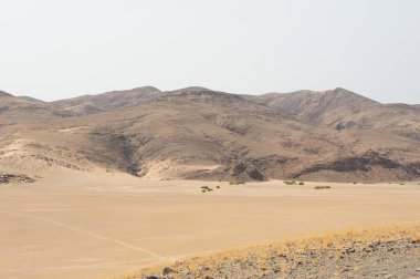 Çölün güzel manzarası