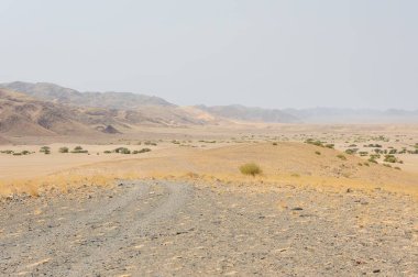 Orta Doğu 'daki güzel çöl manzarası