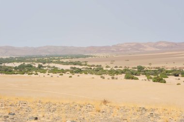 Ağacı ve dağı olan güzel bir manzara.