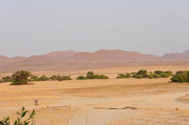 İsrail 'in kuzeyindeki Negev Çölü' nün güzel manzarası