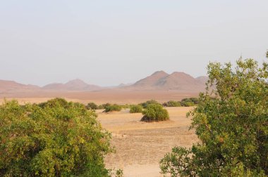 Sahara, Fas, Afrika 'da çöl manzarası