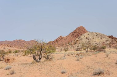 İsrail 'deki Negev Çölü manzarası