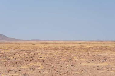 Çöl manzarası, güzel doğa.