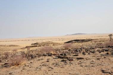 Namibya, Afrika 'daki çöl manzarası