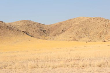 Arkasında bir dağ olan güzel bir manzara.