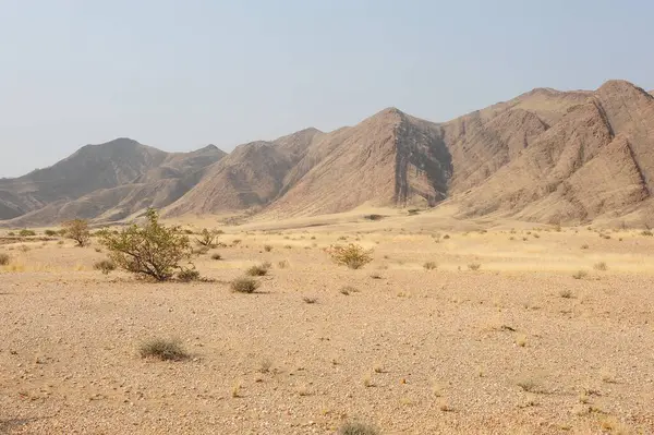 Kuru otlarla kaplı manzara