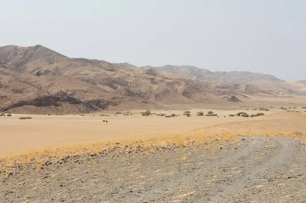 Uzak bir yolu olan çöl manzarası, İsrail.