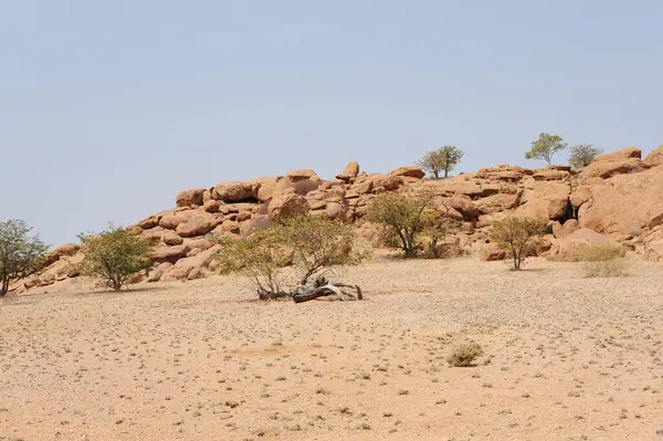Ağacı olan güzel bir manzara