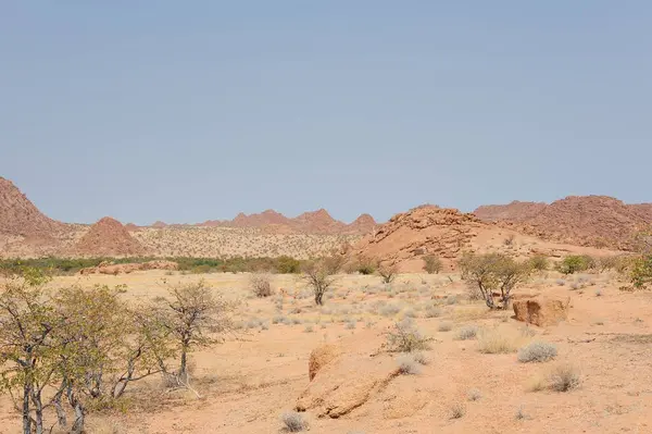 Çölün güzel manzarası