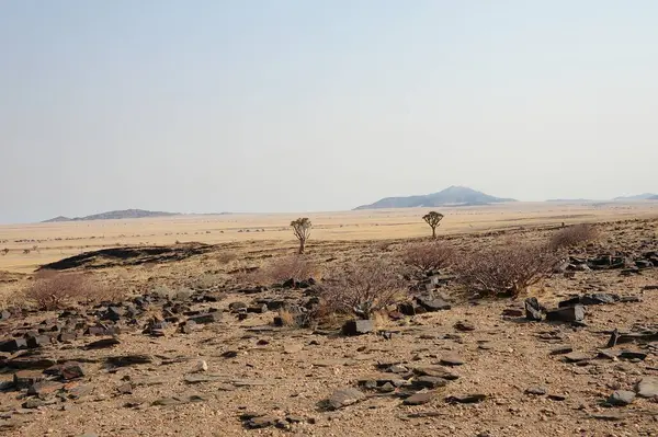 Namib Çölü 'ndeki manzara, namibya