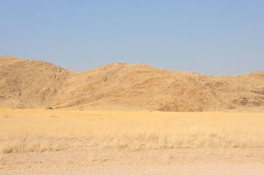 İsrail 'deki Negev Çölü manzarası