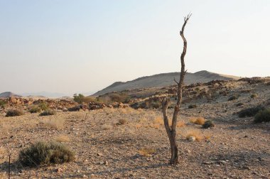 İsrail 'deki Negev Çölü manzarası.