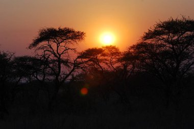 Parkta güzel bir gün batımı