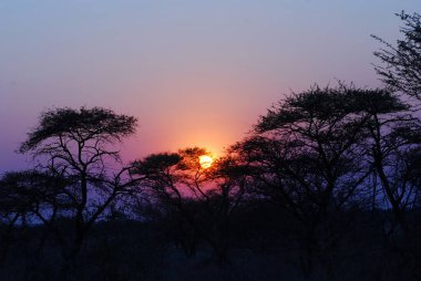 Parkta gün batımı