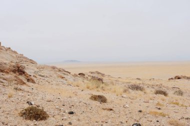 Kuru otlar ve kayalarla dolu çöl manzarası