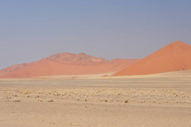 Kum tepeleri, Namib Çölü, Namibya