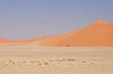 Namibya 'daki güzel suşi çölü.