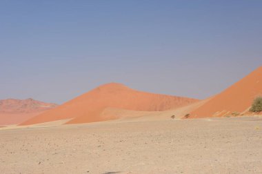 Arka planda kırmızı kum tepeleri ve çöl olan manzara
