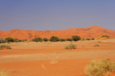 Namib naukluft ulusal parkındaki namibya manzarası, namibya