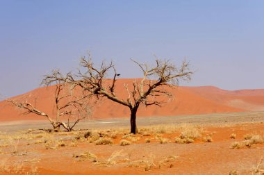 namib kluft ulusal parkı - namibya