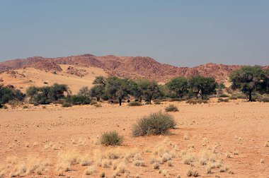 Fas 'taki Fas vadisinde manzara