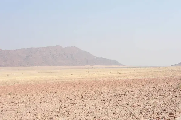 the desert of namibia in namibia