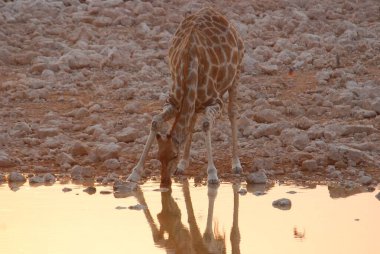 Doğanın güzel manzarası