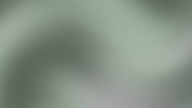 Yumuşak eğimli soyut yeşil ve gri dalga deseni tasarım için sakin bir arkaplan oluşturur