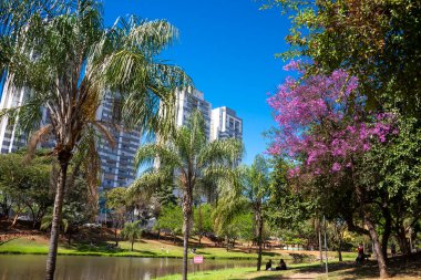 Goiania, Brezilya 'daki Cascavel Parkı