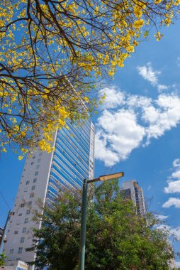 View of 'Alameda das Rosas ' in Goiania, Brazil