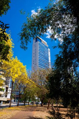 View of 'Alameda das Rosas ' in Goiania, Brazil