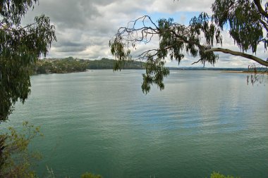 Ciklet dalları, Devonport ve Tazmanya 'nın çerçevelediği bulutlu günde Mersey Nehri' nde gelgit         