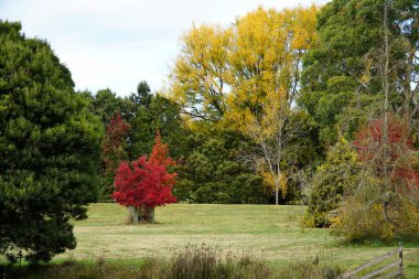Bahar ortasında botanik bahçesi
