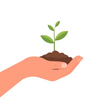 Topraklı küçük bir bitki, çevresel bakım konsepti çizimi.