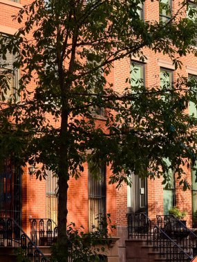 Brooklyn, New York 'ta kırmızı tuğlalı binalar. Bir ağacın altında kısmen gizlenmiş. Güneş ışığı ön cepheye gölge düşürüyor..