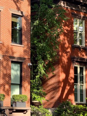 İki klasik Brooklyn kumtaşı, altın saat boyunca yeşil ve benekli güneş ışığıyla çevrili New York yerleşim yerlerinin cazibesini yakalıyor..