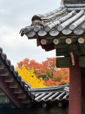 Sarı ve turuncu sonbahar ağaçları olan Kore tapınağının çatıları..
