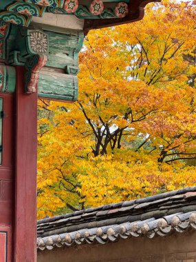 Kırmızı ve yeşil bir Kore mimarisi. Arka planda devrilmiş ağaçlar var..