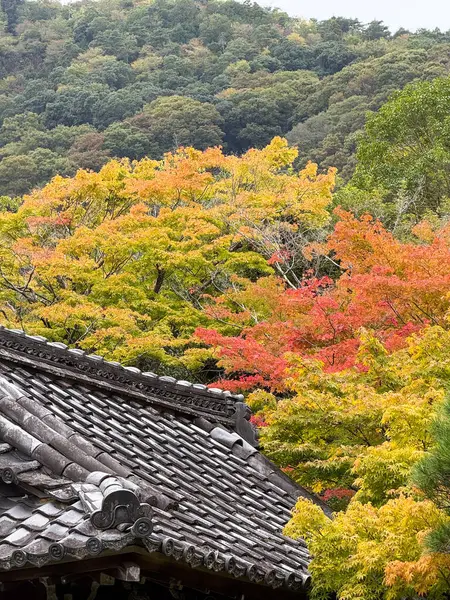 Kırmızı ve turuncu sonbahar ağaçlarıyla çevrili bir Japon evinin köşesi..
