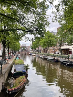 Hollanda, Amsterdam 'da yeşil ağaçlarla kaplı bir kanal boyunca yanaşan tekneler..
