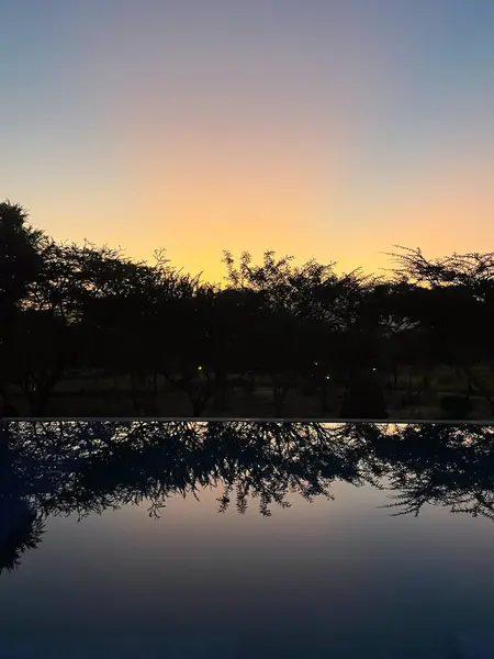 Tanzanya 'nın Manyara Gölü' ndeki durgun bir havuzda ağaçların günbatımı yansıması.