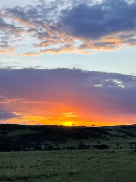 Kenya 'daki Masai Mara Ulusal Rezervi' nde dramatik bulutlarla canlı gün batımı.