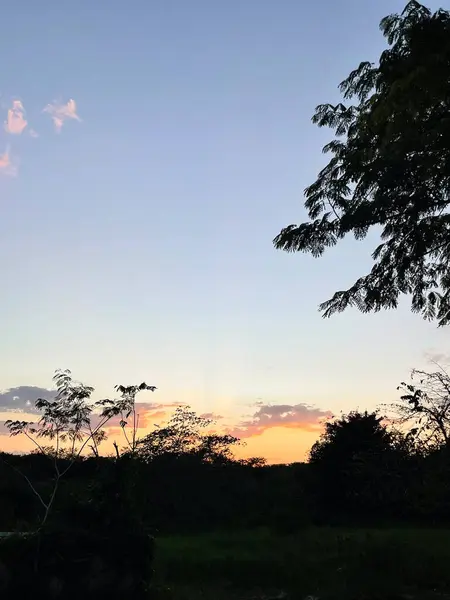 Gün doğumu Merida, Yucatan yakınlarındaki geleneksel bir çiftlikte ağaçların arasından görülüyor..
