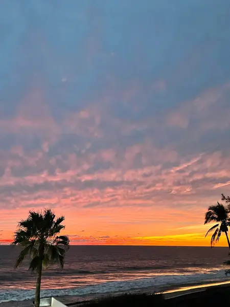 Mazatlan sahilinde renkli günbatımı dalgalar, kumlu kıyılar ve palmiye ağaçları.