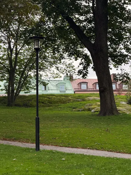 City park with green grass and trees, colorful rooftops in the background.