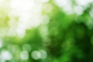 Güzellik doğası Bokeh. Soyut arka plan güzel yeşil, sarı veya renkli bokeh bulanık arkaplan ve sabah güneş ışığıyla dokuma. Herhangi bir tasarım için kopyalama alanı. Bahar mevsimi. Arka plan bulanık.