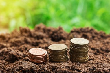 Güneş ışığı ve tasarım için yer ile yere para. Para ve iş kavramı