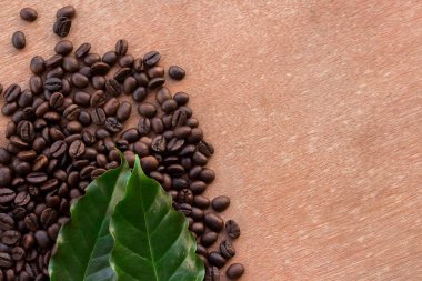 Kahve çekirdekleri ve taze yaprak yeşil grunge kopya alanı ahşap zemin üzerine kapatın