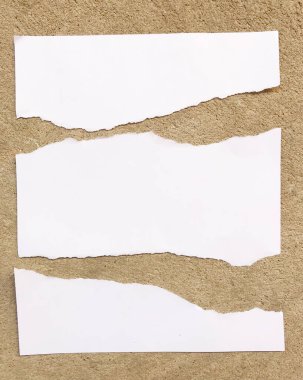 Beyaz kağıt şablonu için bir kat arka plan üzerinde metin parçaları. Tasarım mock-up